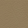 006 Buckskin